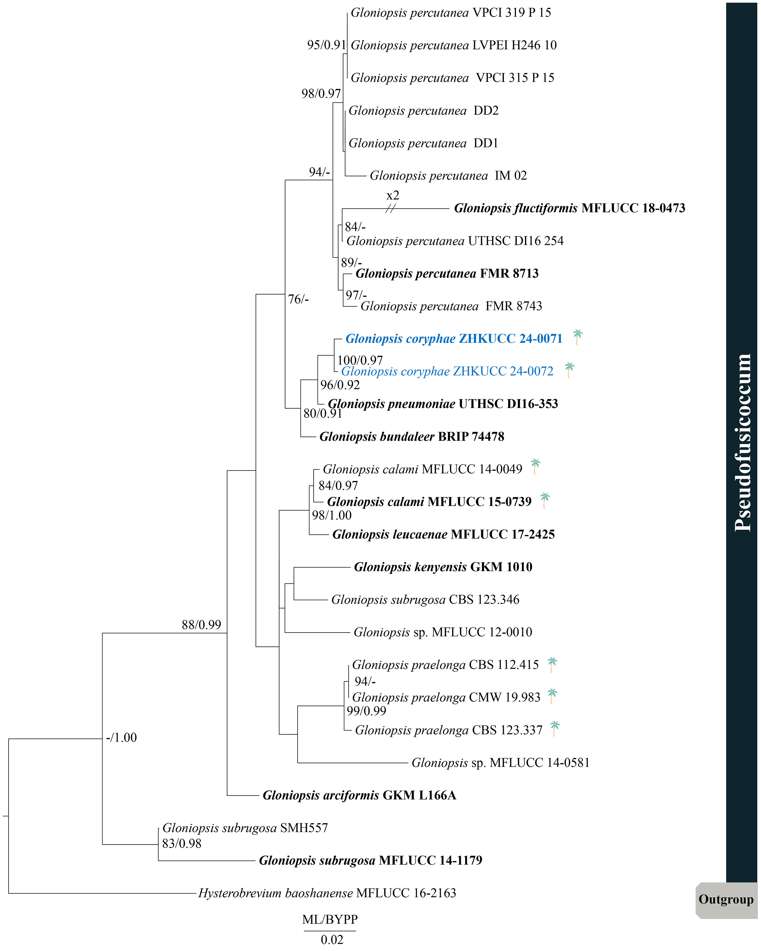 Figure 12